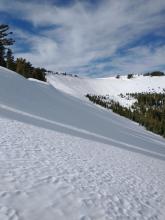 Pit dug in foreground shadows. Good coverage 2-3 feet deep across the summit bowl.