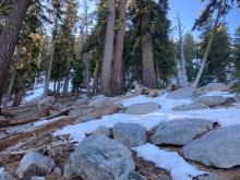 Patchy snow coverage above 8200' towards South Peak