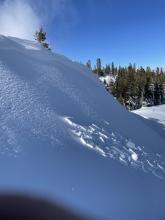 Small natural wind slab/cornice break on NE aspect at summit of Poulsen's peak