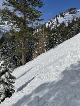 Roller balls on W aspect below 7000'. Mostly skier triggered, some natural coming off of exposed rock. 