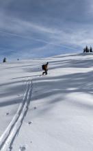 Boot top amounts of snow on the ridgetop available for wind transport/redistribution.