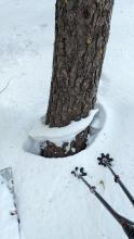 Settlement cone on Andesite Peak