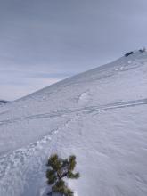 Evidence of blowing and drifting snow from yesterday.