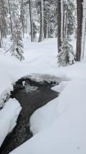 Open creek at 7,200' with an impressive flow following the Dec 22 rain event.