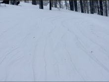 Wind textured surfaces below tree line.