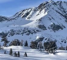 Old natural avalanche mid-slope above Winnemucca lake.