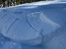 Close up of test slope. 2" firm wind slab on 4-7" loose snow, on denser snow