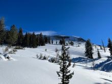 The peak. Observed light-moderate blowing snow and old crowns if you zoom in