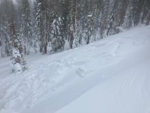 Natural wind slab avalanche triggered by cornice collapse