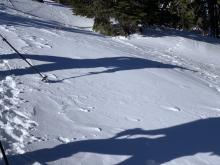 Evidence of East winds on the ridgetops, shown with windtails behind surface bumps