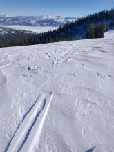 Ridgetop ski track from yesterday scoured to inverted by E winds last night.