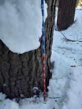 40cm of snowpack settlement