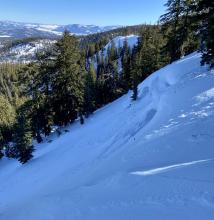 Old persistent slab avalanche.  Crown extensively filled in. Debris piles visible in trees below. 