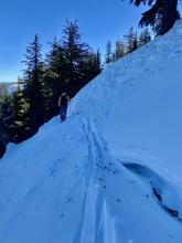 Alternate view of old persistent slab avalanche crown.