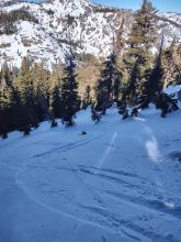 Soft, surface faceted snow in sheltered terrain.