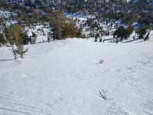 Looking into E aspect terrain at about 9,500' that had undergone very little previous melt-freeze.