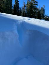 An old crack in the snowpack likely from early January.