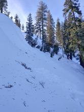 Pit location on the edge of a below treeline avalanche path that receives full shade all day this time of year.