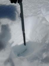 Top 50 cm of the HS 130cm snowpack on this S aspect at 7,600' has undergone repeated melt freeze.