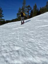South aspect 7,900' elevation ski penetration of .5" at 10:00am.