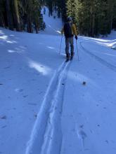 Near surface facets NE aspect ~8,200'.