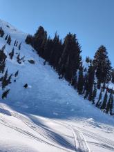 Old cornice triggered avalanche @ White Rock Lake NE aspect @ 8300'