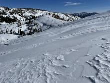 Scouring of NE aspect, with slick rain crust on the surface, wind textured snow