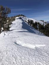 Big cracks/calving of cornice (different spot than first photo)