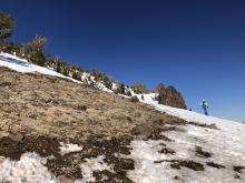 Melting out to bare dirt in some spots (SE facing slope near Rose Knob Peak)