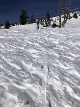 Significant penitentes on south facing slopes above treeline