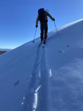 Near surface facets on Northerly terrain at 7,400'.  Ski penetration ~3".