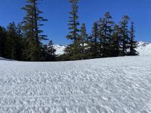 Solar and wind effect on flat exposed terrain near 8,000'.