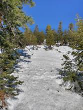 Thin coverage of 2 feet or less at 8,000' on S aspect terrain.