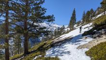 Patchy snow coverage at lower elevations on S aspects