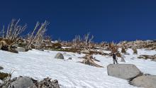 Snow keeps melting on sun-exposed southerly aspects.
