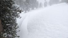 Wind scoured area next to a drift of wind-blown snow.
