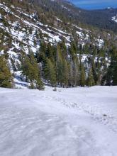 One inch of surface wet snow on E aspect terrain in Blackwood Canyon below Stanford Rock at about 7,400'. Melted out S aspects in the background.