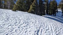 Wind scoured areas along the exposed ridges of Carpenter Peak