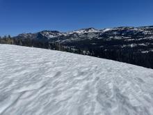 Melt freeze cornflake snow on south aspects below 8300'