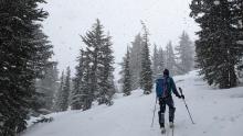 Short period of convective snow showers late morning. 