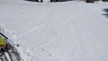 Tiny roller-balls were the only signs of wet snow on sunny slopes. 