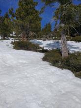 Dwindling snowcover below 7,800' on SE aspect terrain.