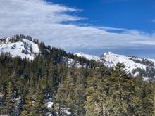 Periods of blowing snow along the Sierra Crest.