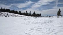 Wind scoured areas along exposed ridges