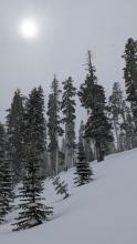 Snow showers mixed with periods of lighter precipitation and sun peeking through the clouds occurred during our tour. 