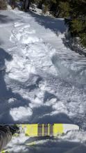 A ski cut triggered this wet loose avalanche on a small NE facing test slope.