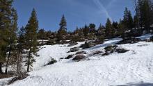 Snowmelt has exposed many more rocks and other obstacles especially on sunny slopes. This is a west aspect at about 7400 ft. 