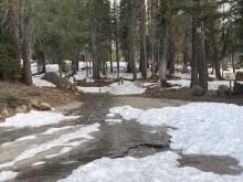 Trailhead melting out near the gate.