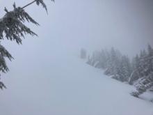 Poor visibility in near treeline terrain above 8200' with snow and strong SW winds.