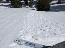 Small roller balls and pinwheels on a sunny E-NE facing slope at 11:30 am.